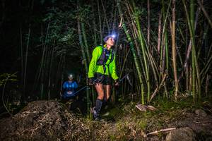 BIB: 
                            <button type="button" onclick="openModal(6948963)" class="btn btn-primary btn-sm float-right btn-popup" data-toggle="modal" data-target=".modal-high-quality">
                        <i class="fas fa-shopping-cart"></i> Add to Cart
                    </button>
                                            <button type="button" onclick="isThisMe(6948963, true)" class="btn btn-success btn-sm float-right btn-popup btn-isme hidden" data-toggle="tooltip" data-placement="bottom" title="นี่คือรูปของคุณใช่ไหม คลิกที่นี่เพื่อเอาเข้าอัลบั้ม">
                        <i class="fas fa-plus"></i> Add to album
                    </button>
                    <button type="button" onclick="isThisMe(6948963, false)" class="btn btn-warning btn-sm float-right btn-popup btn-isnotme hidden">
                        <i class="fas fa-ban"></i> Remove from album
                    </button>